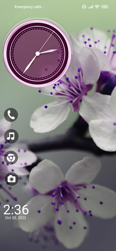 Flowers Bliss screenshot