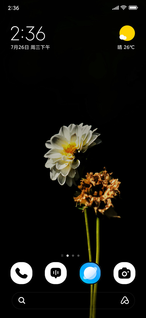 Snow Garden screenshot