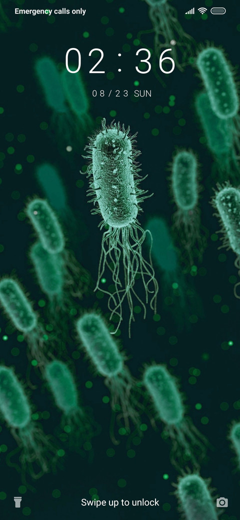 Bacterium_3MDS screenshot
