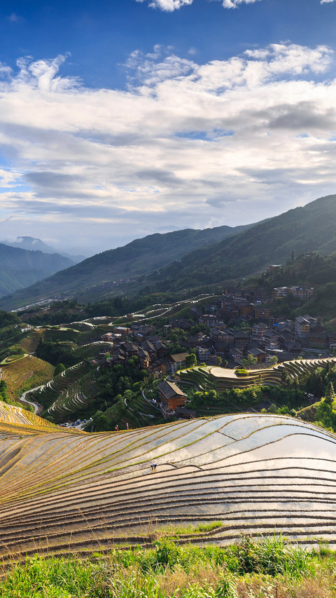 Among the sea of clouds in longji terraced fields screenshot