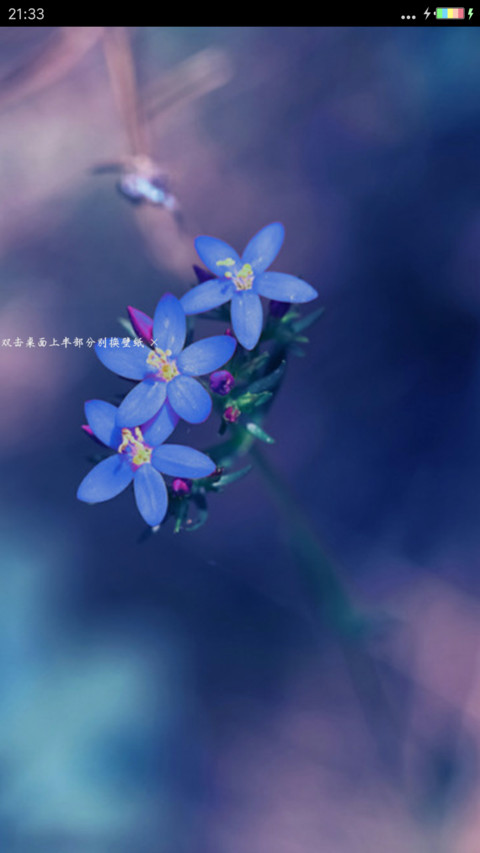 唯美微距 screenshot