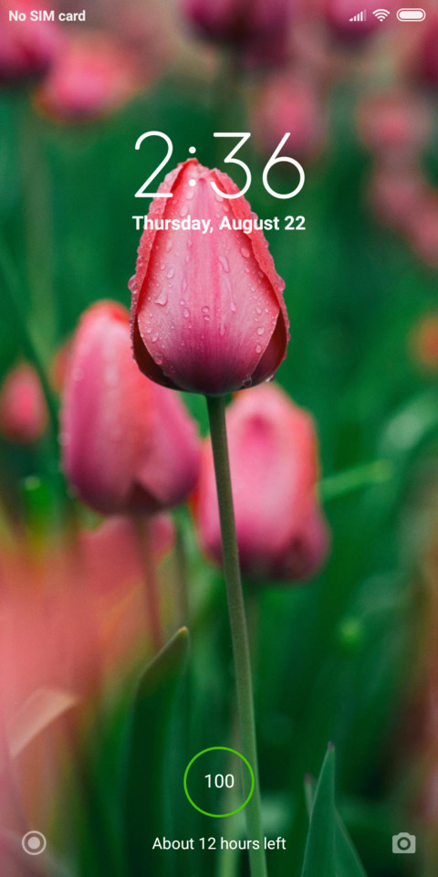Blooming screenshot
