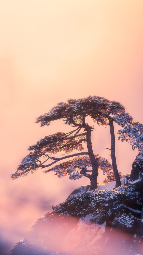 卧谷听松 screenshot