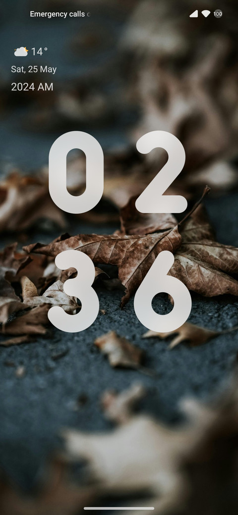 DryLeaves_V14 screenshot