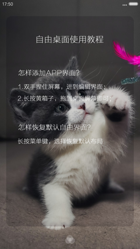 呆萌小猫咪 screenshot
