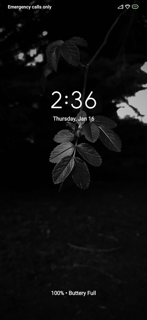 standart green screenshot