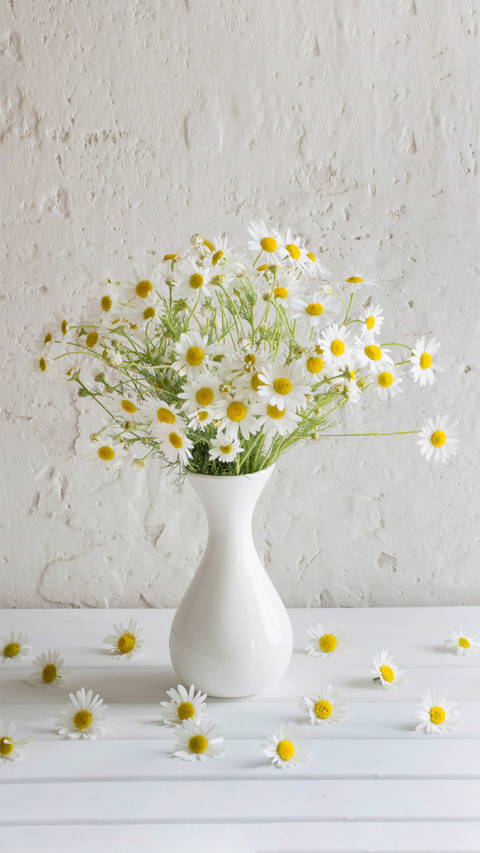Several tips for floral design 2 screenshot