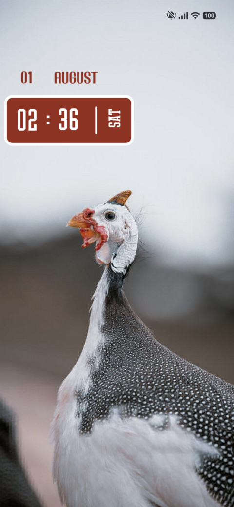 White Crane screenshot