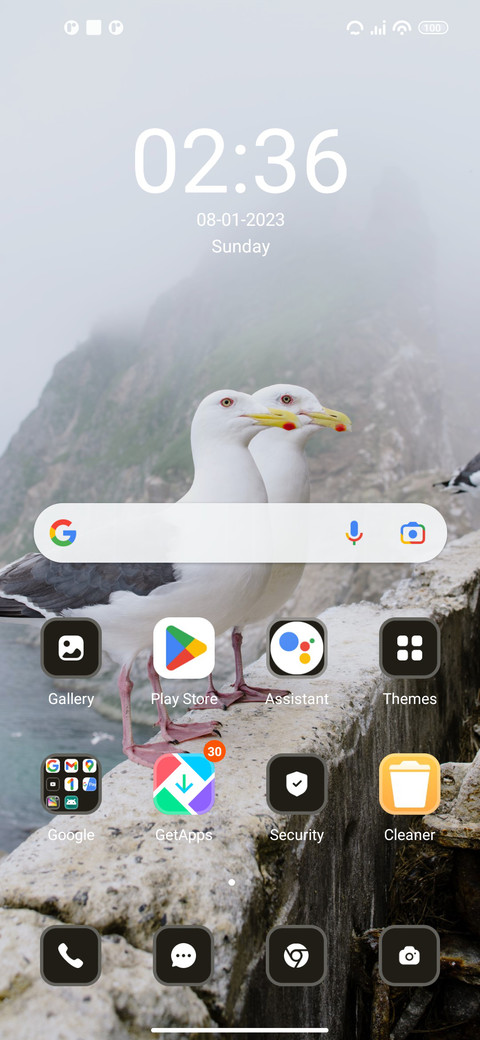 seagull screenshot