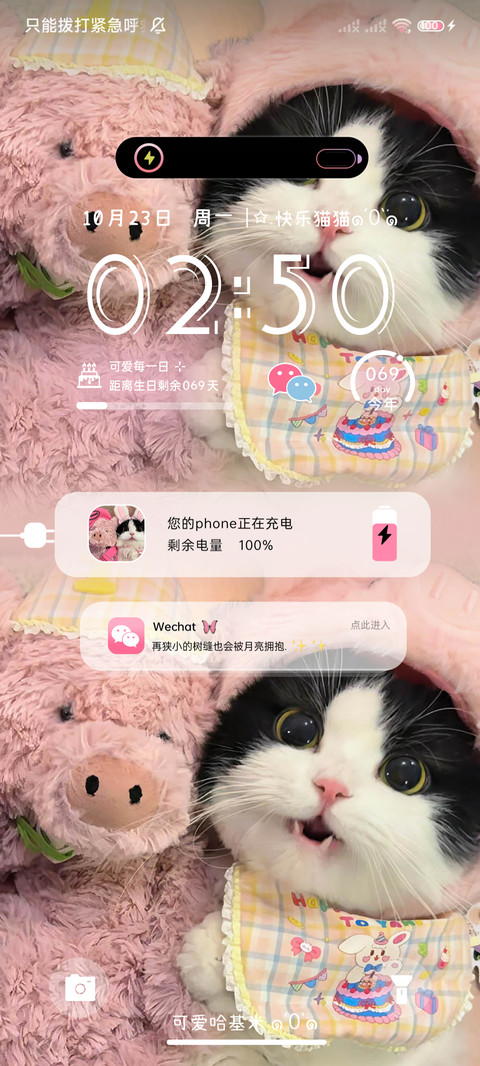 双拼甜心猪咪 screenshot