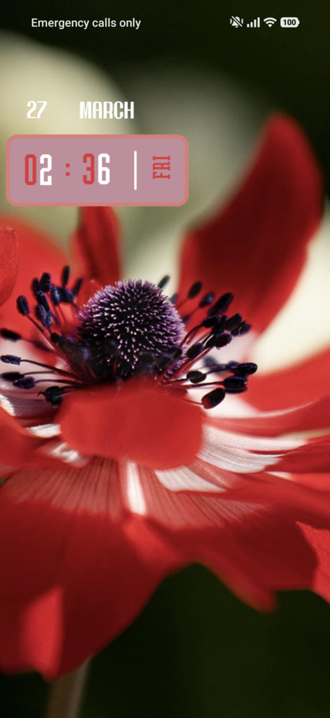 Anemone screenshot