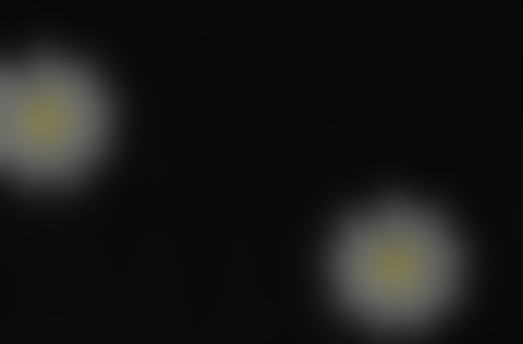多彩 油画小雏菊 screenshot