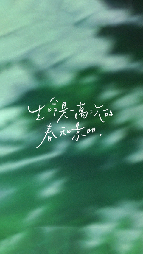 生命是一万次的春和景明 screenshot