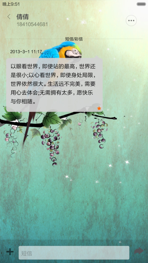 鹦鹉（音乐锁屏+全图标） screenshot
