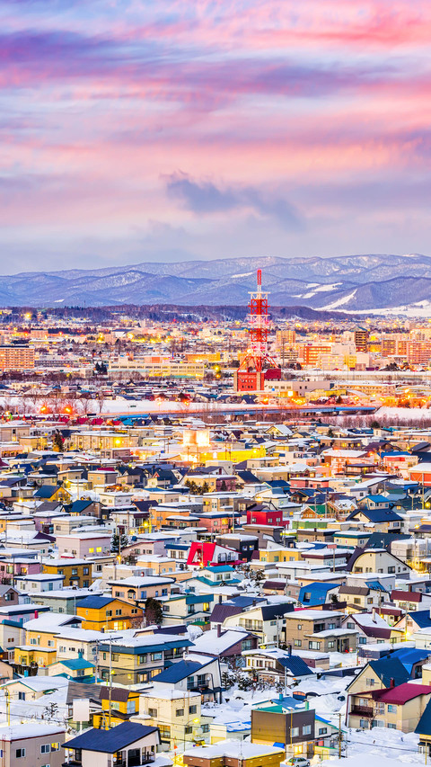 Cities with the largest snowfall 20 screenshot