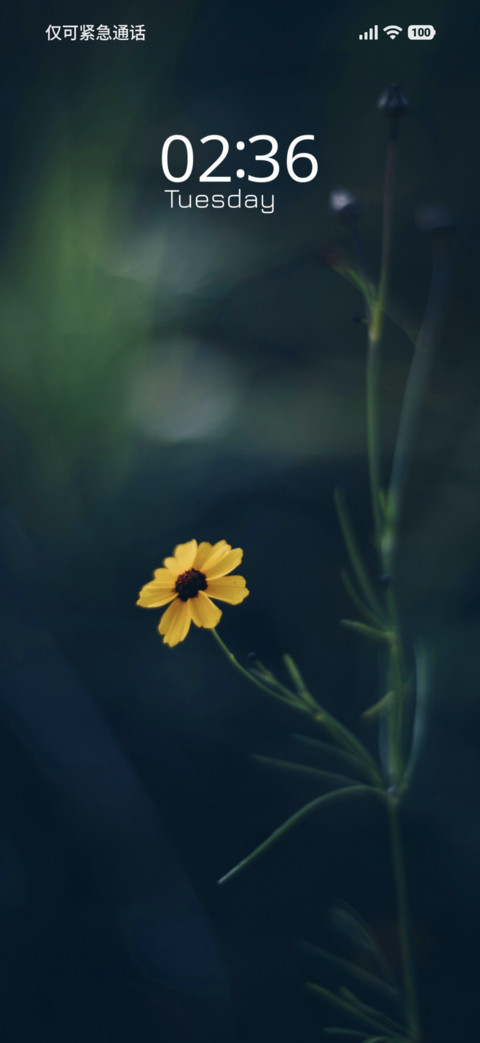 Sunlit Petals screenshot
