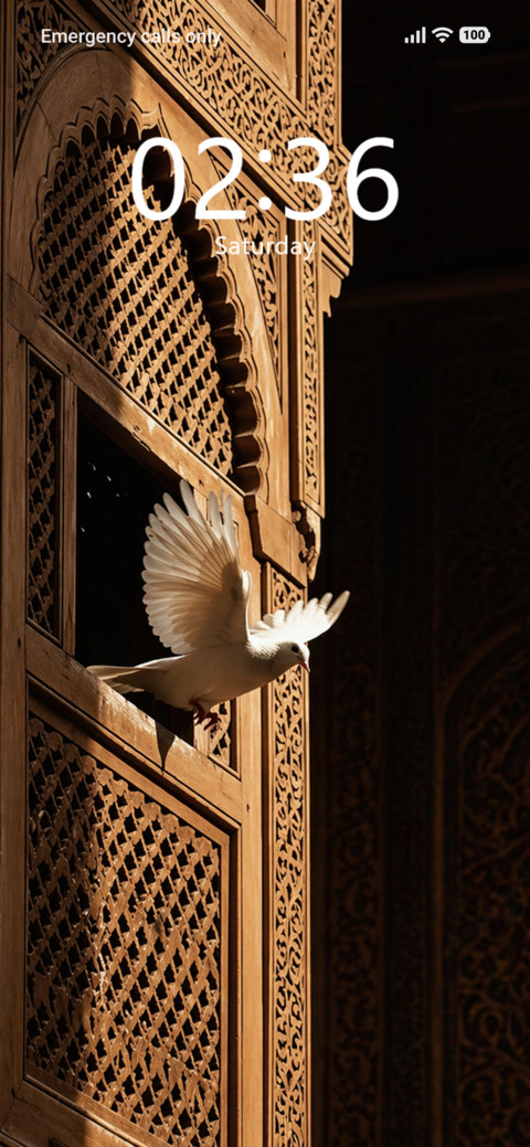 Flight Arches screenshot