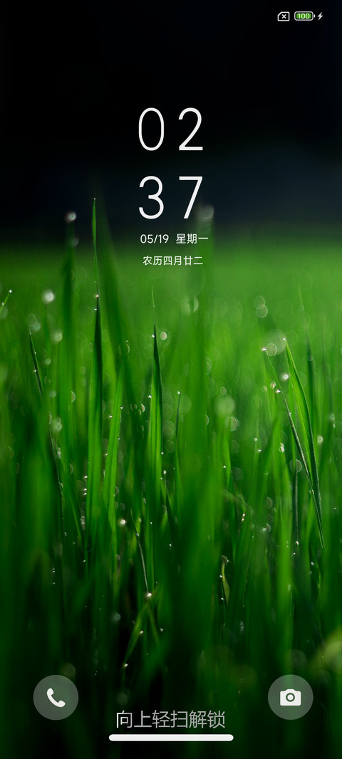 清新护眼绿 screenshot