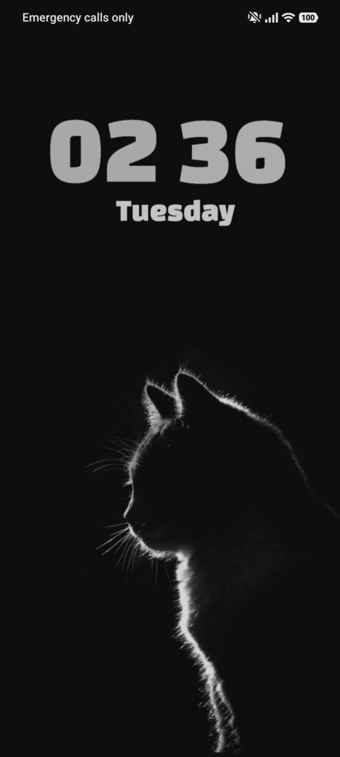 Feline Outline screenshot
