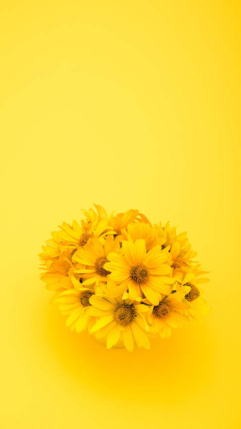 flowers-08 screenshot