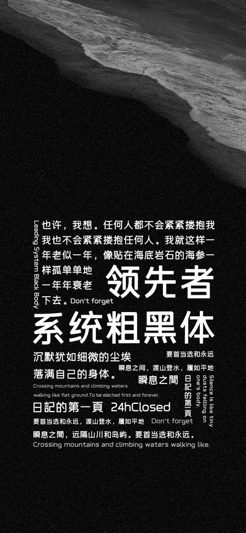 领先者系统粗黑体 screenshot