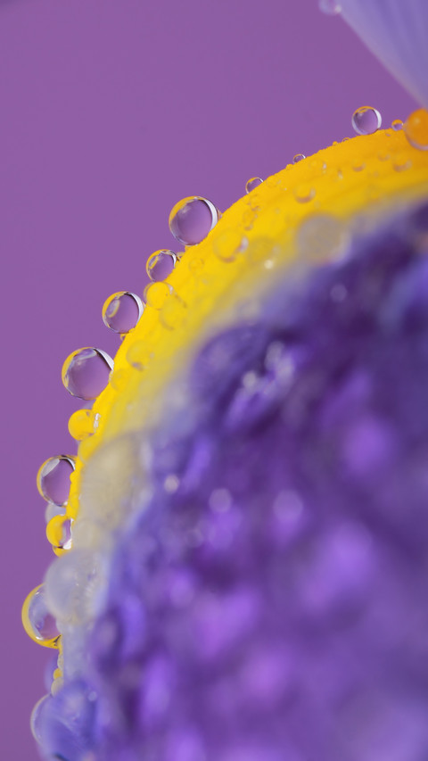 Amazing art-06 screenshot