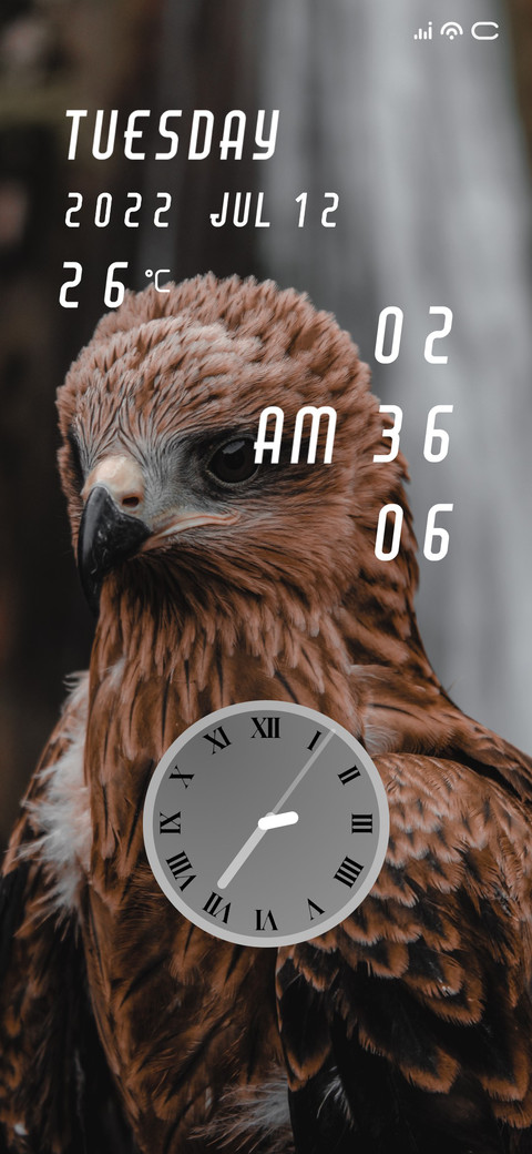 Falcon screenshot