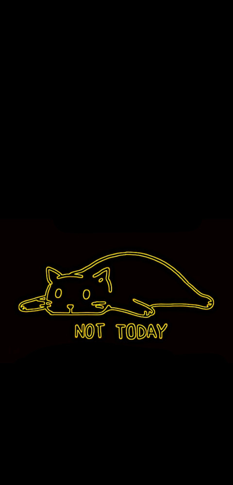 Lazy Cat screenshot