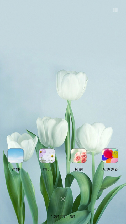 白色郁金香 screenshot