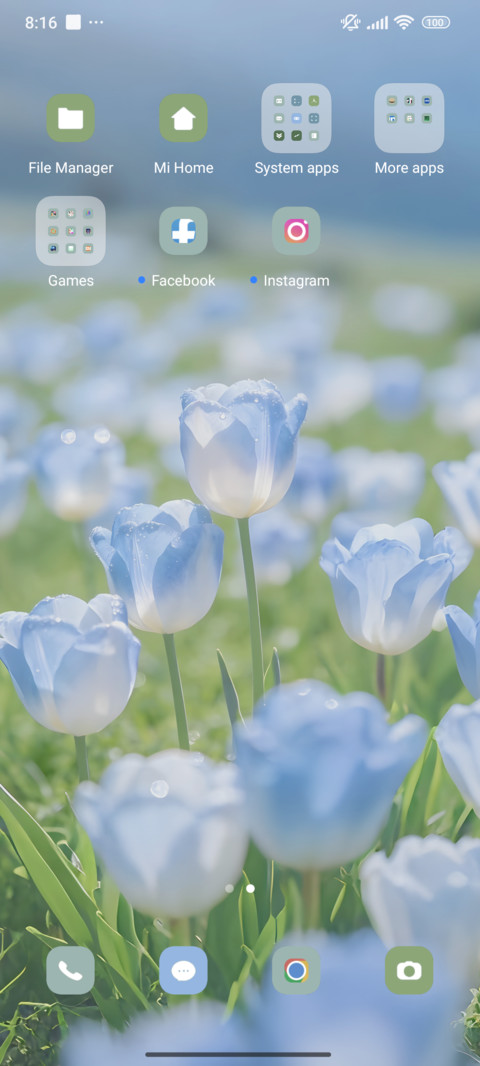 Flower Transparent screenshot