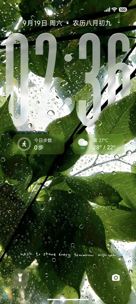 景深清新檐雨观叶 screenshot