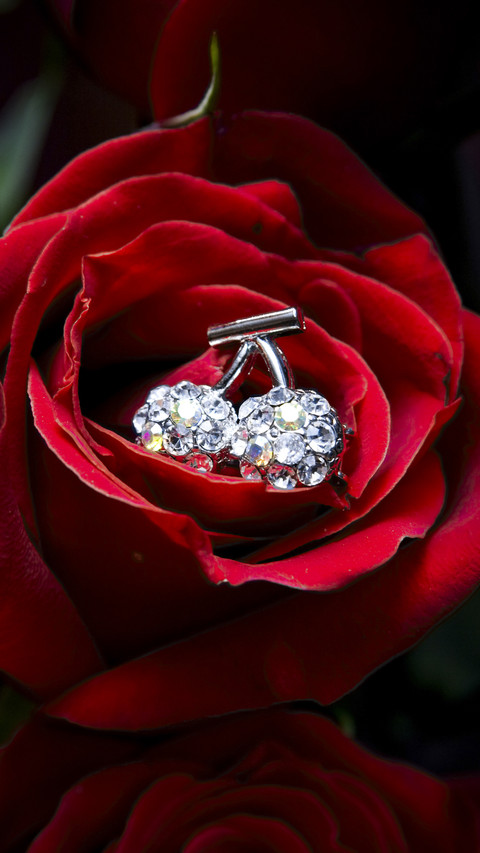 Perfect Diamond Jewellery in Rose screenshot