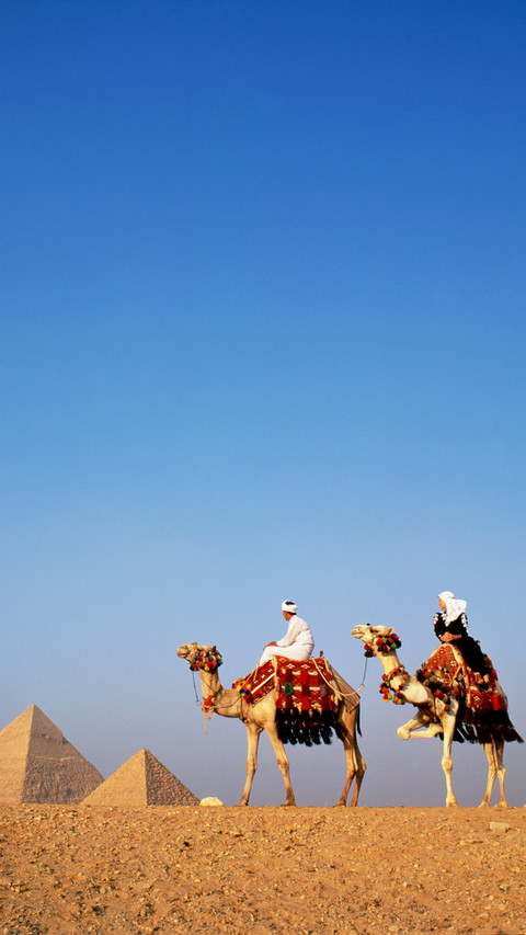 india- camel screenshot