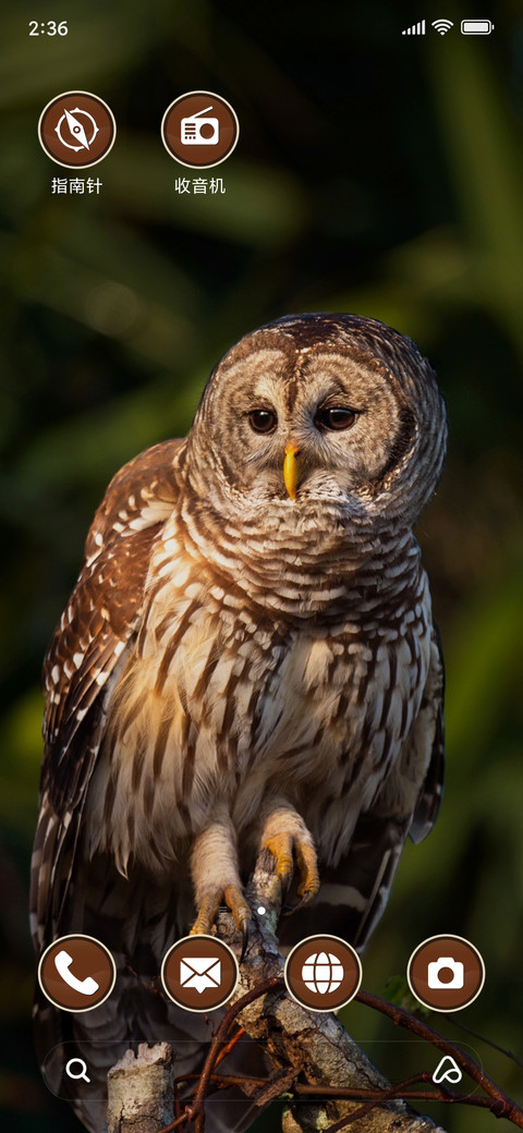 Owl - Nature_3MDS screenshot