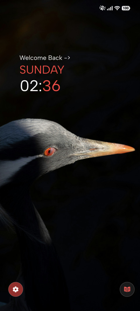 Red Eye Crane screenshot