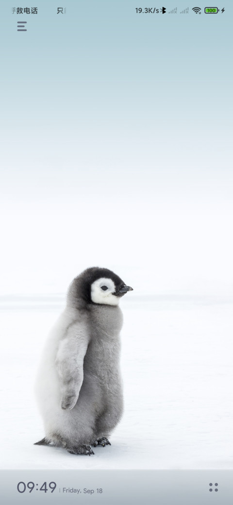 Polar screenshot