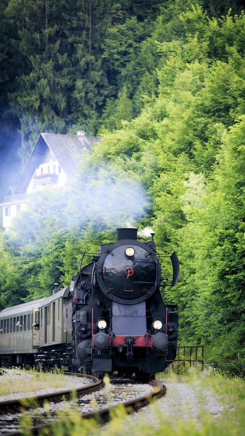 Steam Locomotive Train in Forest screenshot