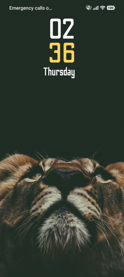Lion Gaze screenshot