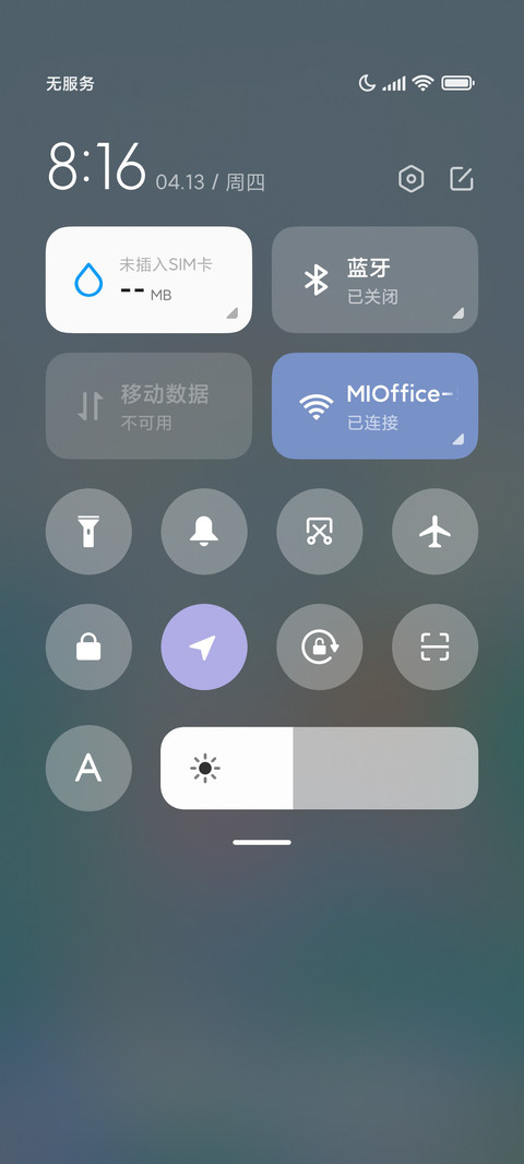 蓝色郁金香花园 screenshot