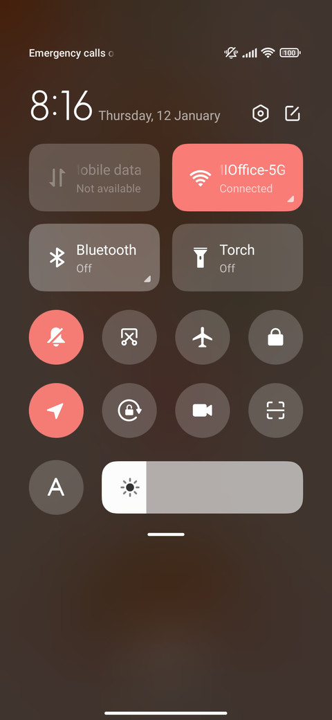 Persimmon Ruyi screenshot