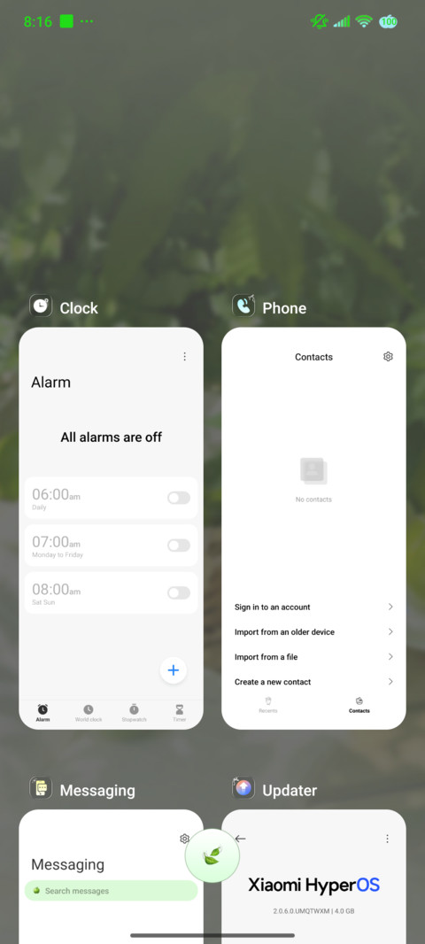 Mint Summer screenshot