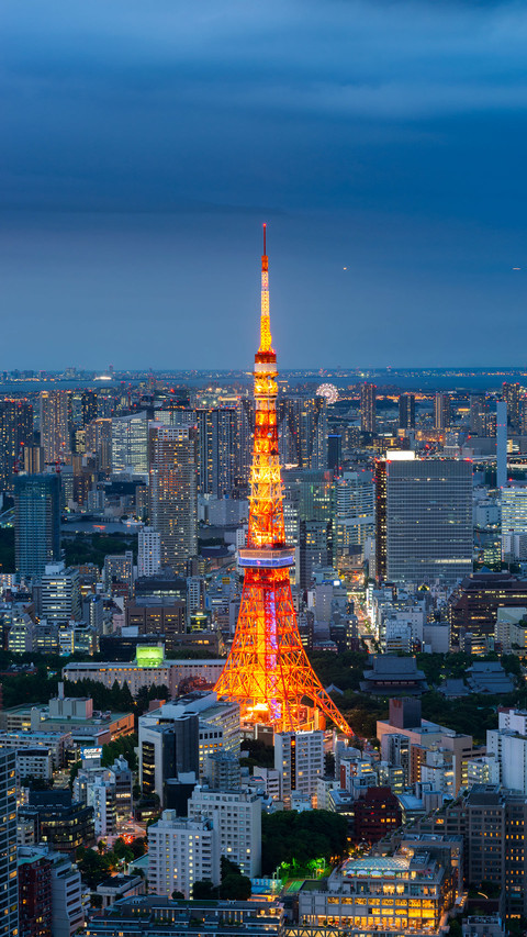 How busy is Tokyo screenshot