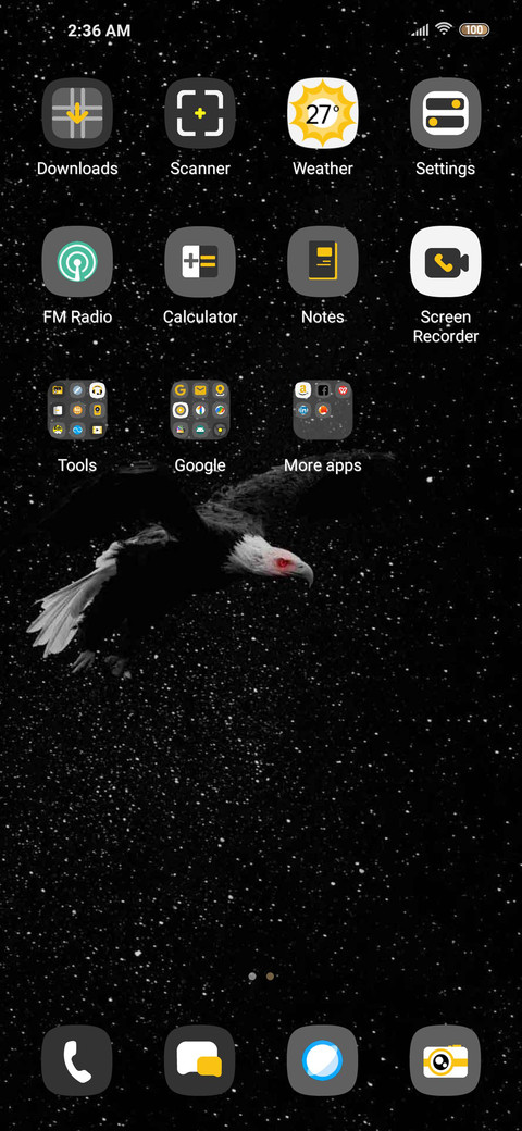 Starry Eagle screenshot