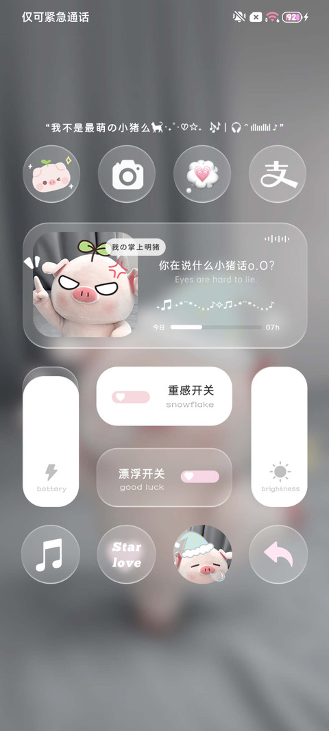 重感 最萌小猪包 screenshot