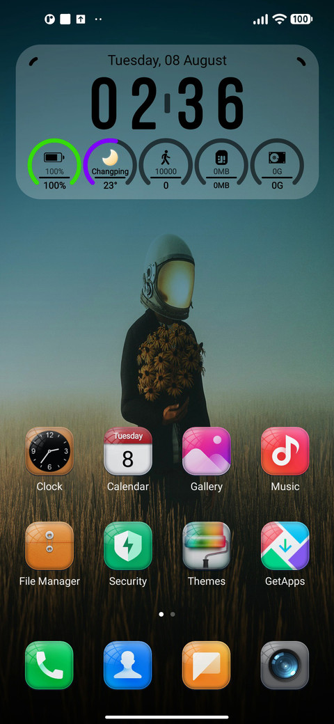 FyM v11 screenshot