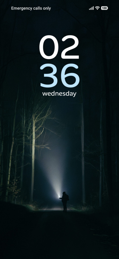 Forest Echo screenshot