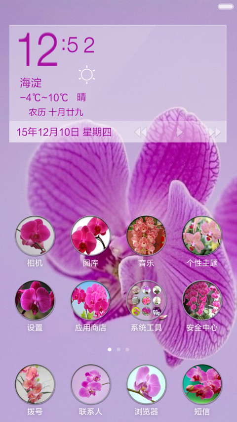 蝴蝶兰【全图标覆盖+高清壁纸】 screenshot