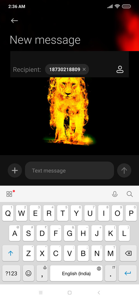 Lion King_DWM20 screenshot