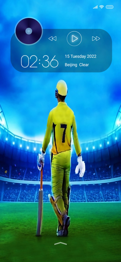 Cricket Dx screenshot