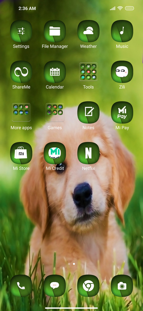 Puppy on screenshot